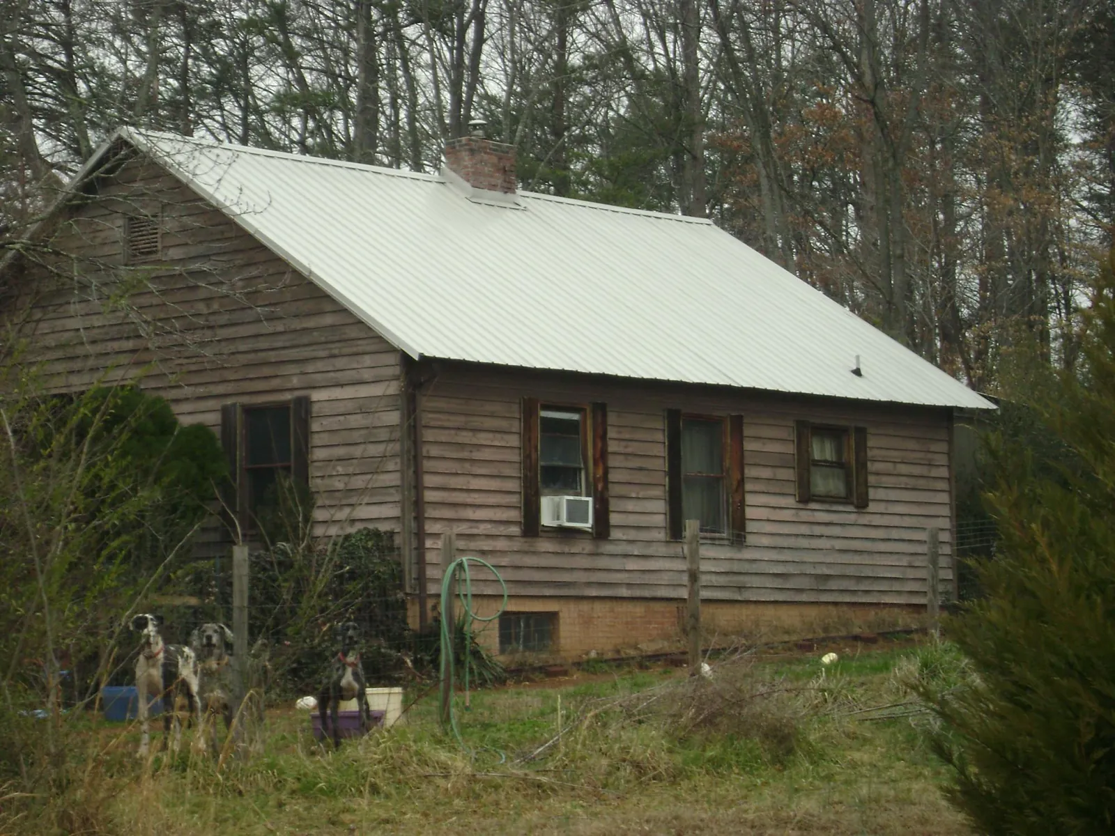 White metal roof on an old wood sided farmhouse, from a Asphalt Shingle Roof Repair job in Venice